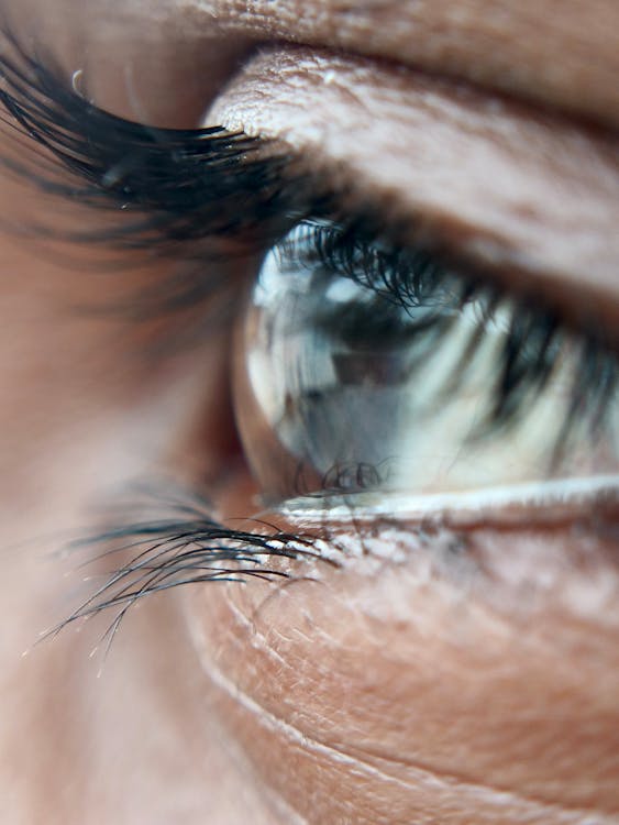 Gros plan oeil avec cils naturels bouclés après rehaussement, regard ouvert et lumineux.