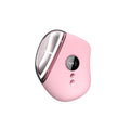 Masseur Visage Vibrant USB Quartz Rose Anti-Rides Livacils